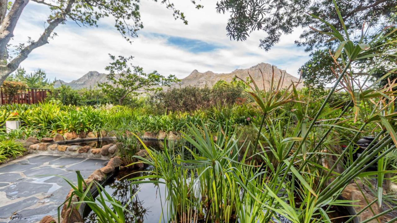 Cap Serein Guest House Cape Town Ngoại thất bức ảnh