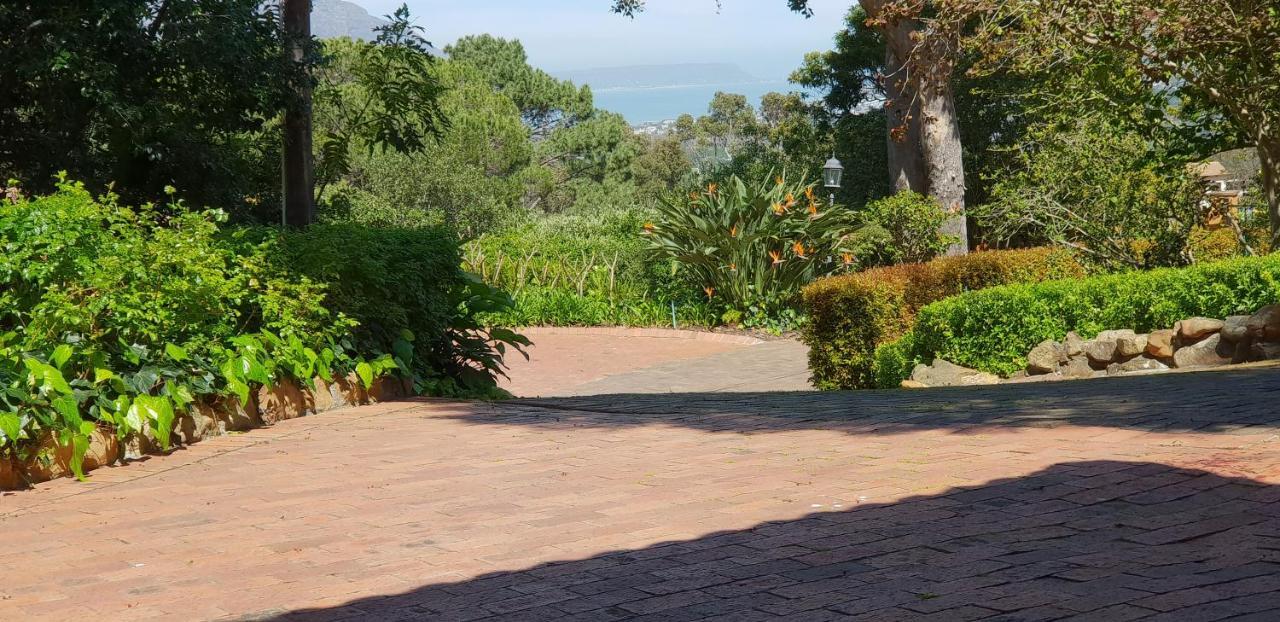 Cap Serein Guest House Cape Town Ngoại thất bức ảnh