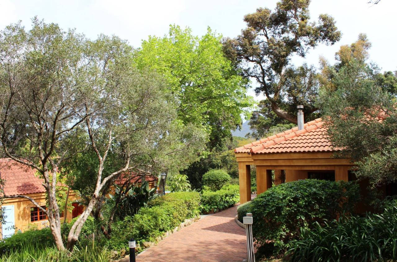 Cap Serein Guest House Cape Town Ngoại thất bức ảnh